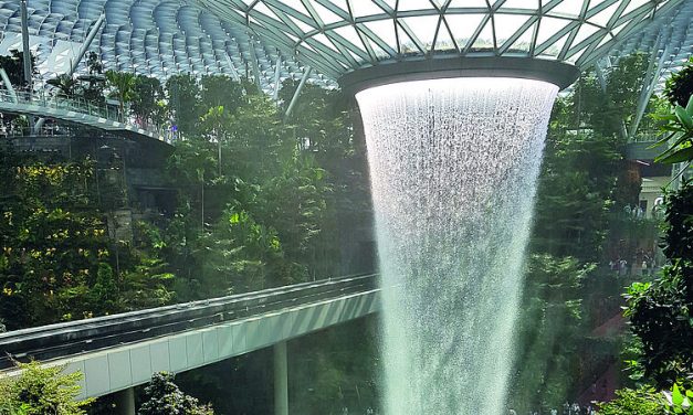 City in a Garden: Singapore is a pioneering green city.
Photo: CIM/Katharina Brauer