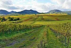 Drei Jahre Convention Bureau Rheinland-Pfalz