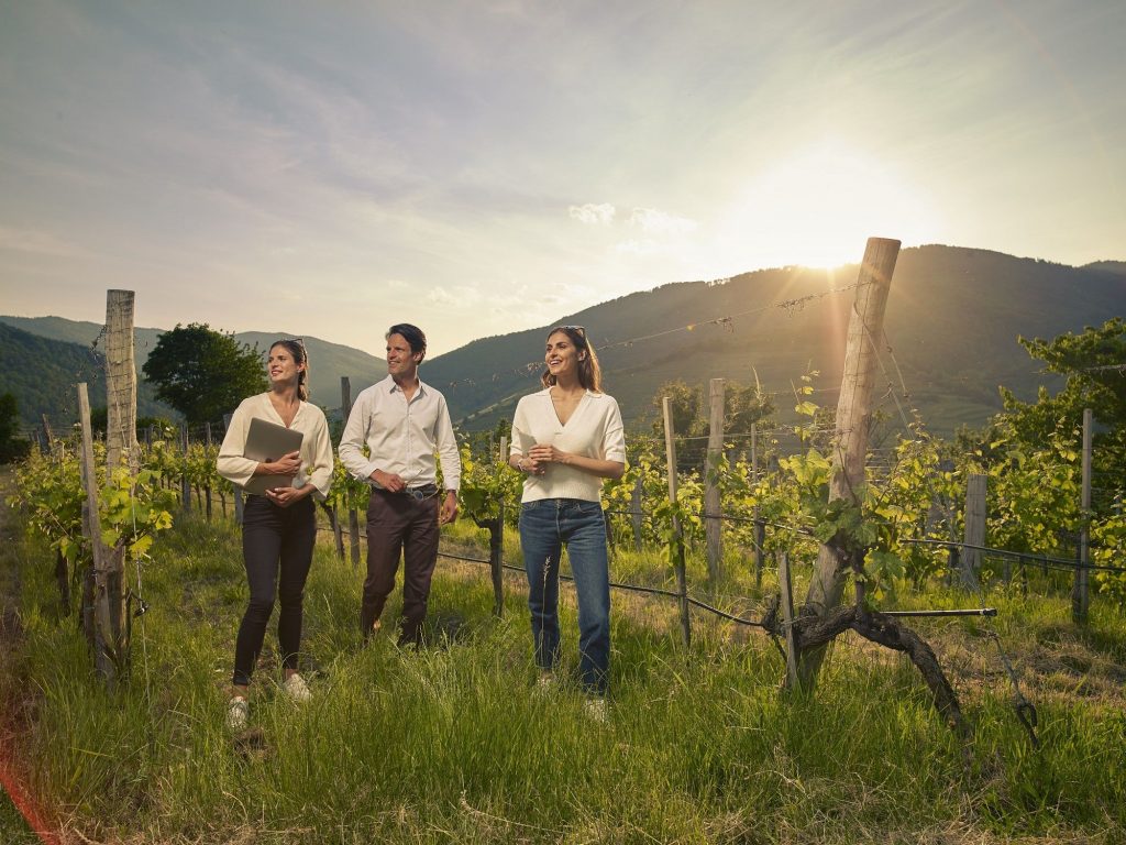 Tagen und genießen lässt sich besonders gut in den Weinbauregionen verbinden, zum Beispiel in Niederösterreich. Foto: CBNOE | Andreas Hofer