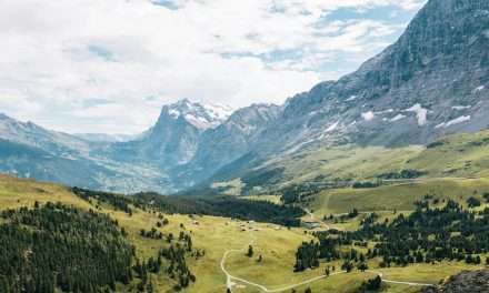 Neu im Schweiz Tourismus-Vorstand