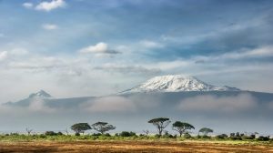 Kenya waives visa requirement
