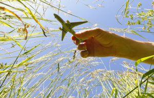 GBTA Launches Global Sustainable Procurement Standards