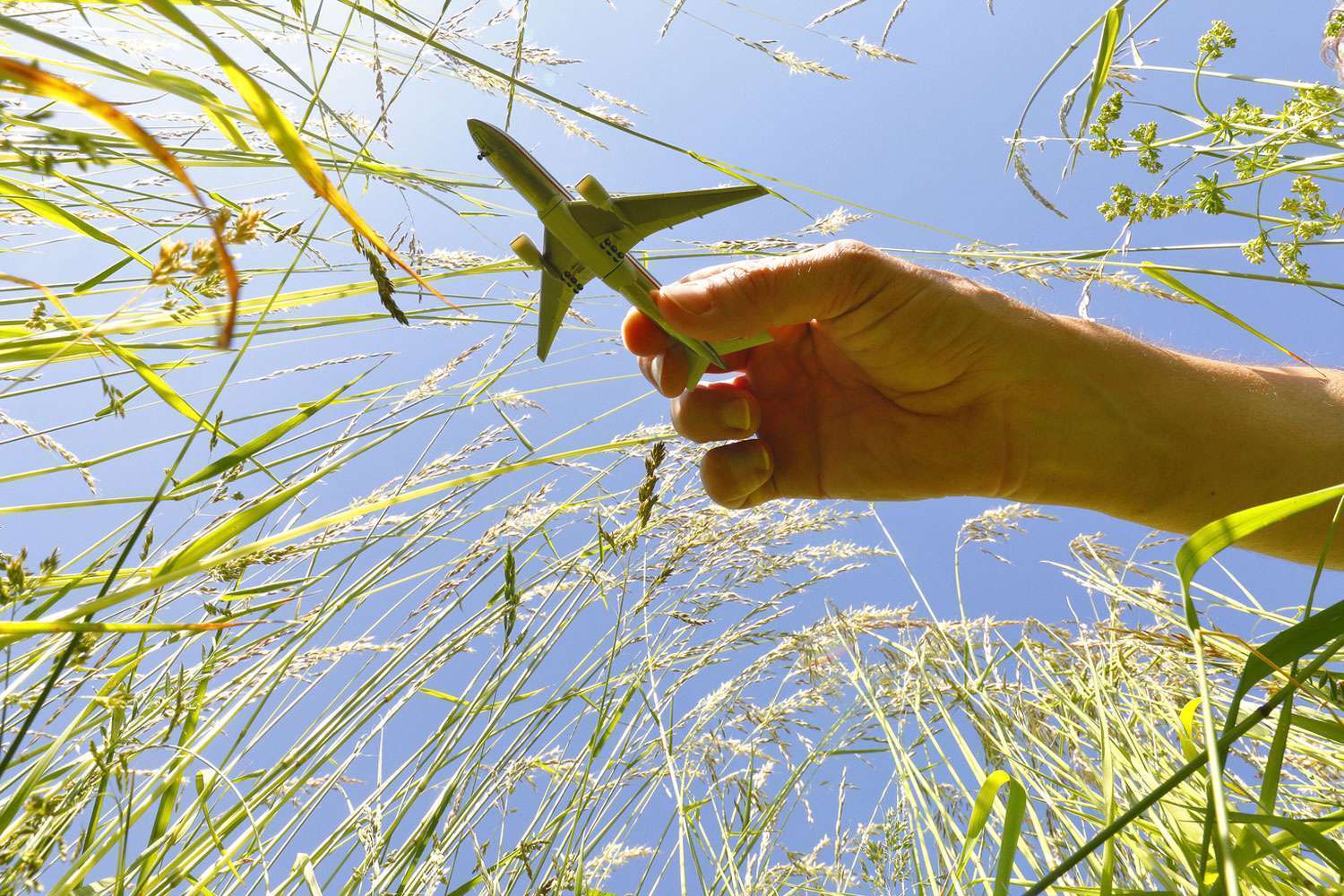 GBTA Launches Global Sustainable Procurement Standards CIMunity