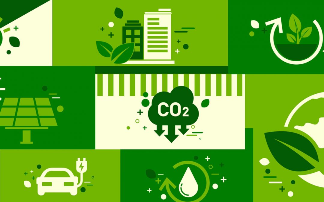 BCD M&E: 2024 Global Sustainability Guide