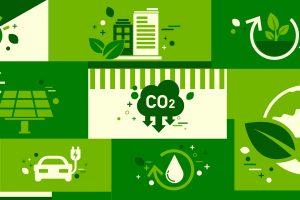 BCD M&E: 2024 Global Sustainability Guide