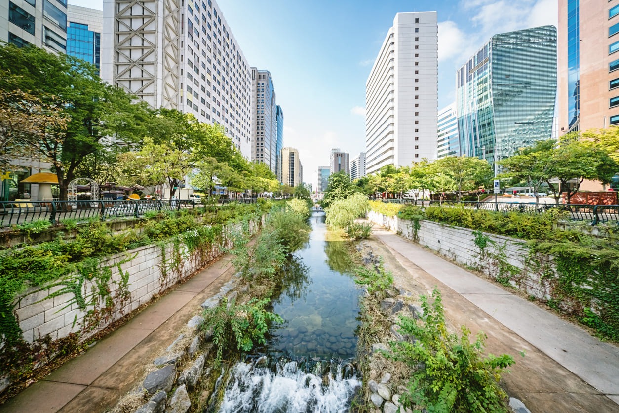 Begrünter Kanal in einer Großstadt