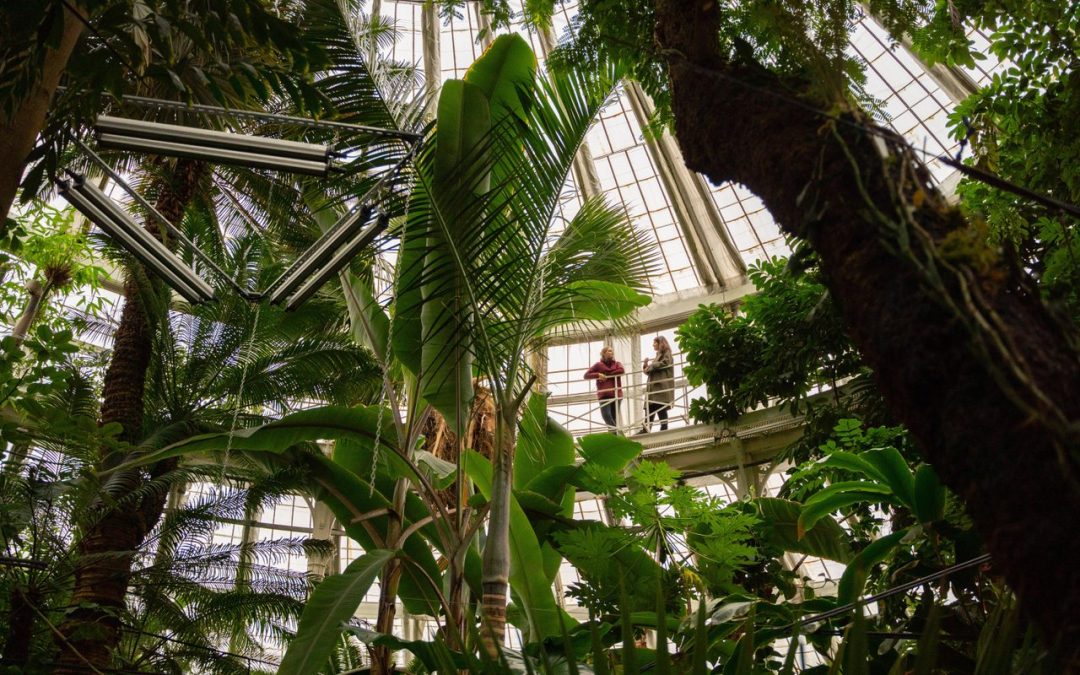 Copenhagen Launches Updated Sustainability Guide