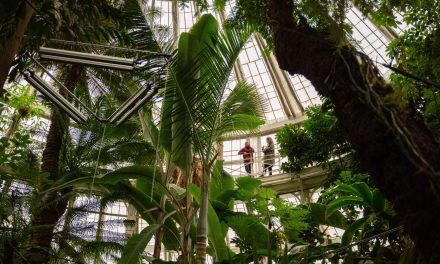 Copenhagen Launches Updated Sustainability Guide