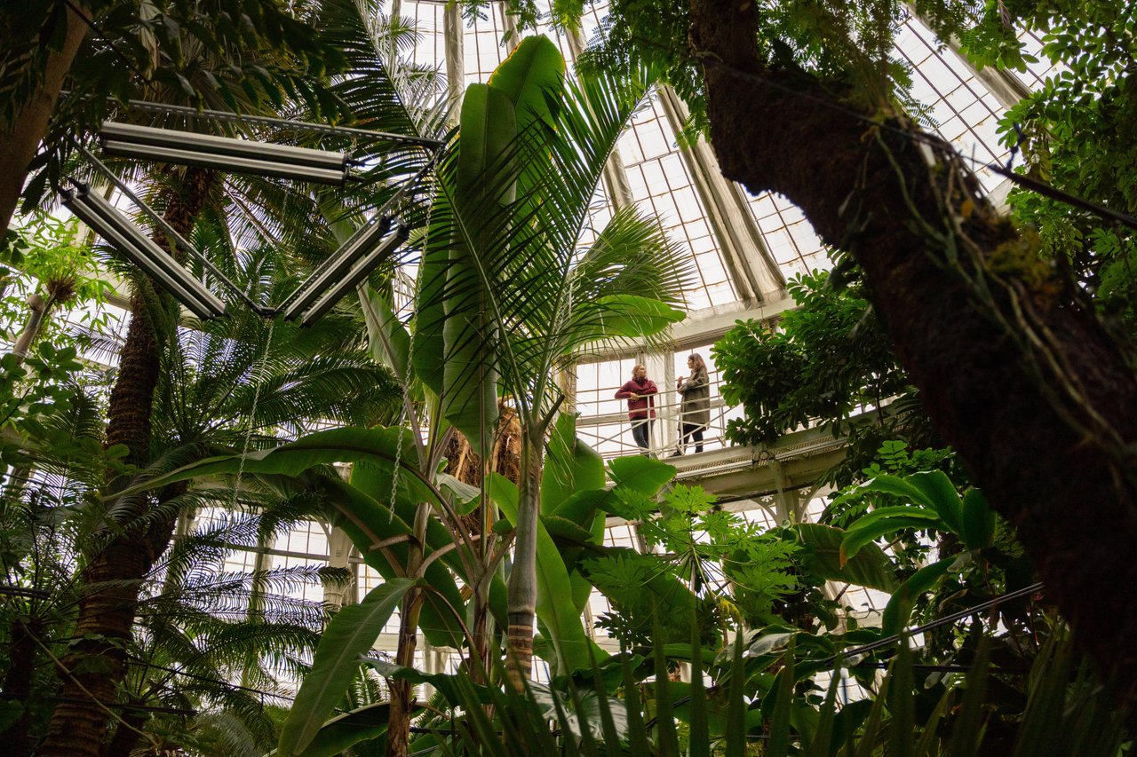 Palmhouse with people