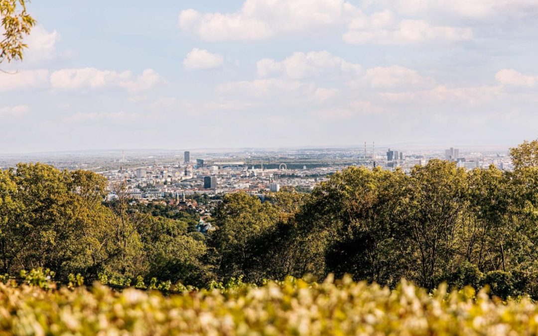 EADV-Kongress 2026 in Wien