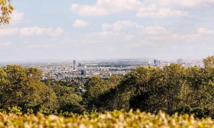 EADV-Kongress 2026 in Wien