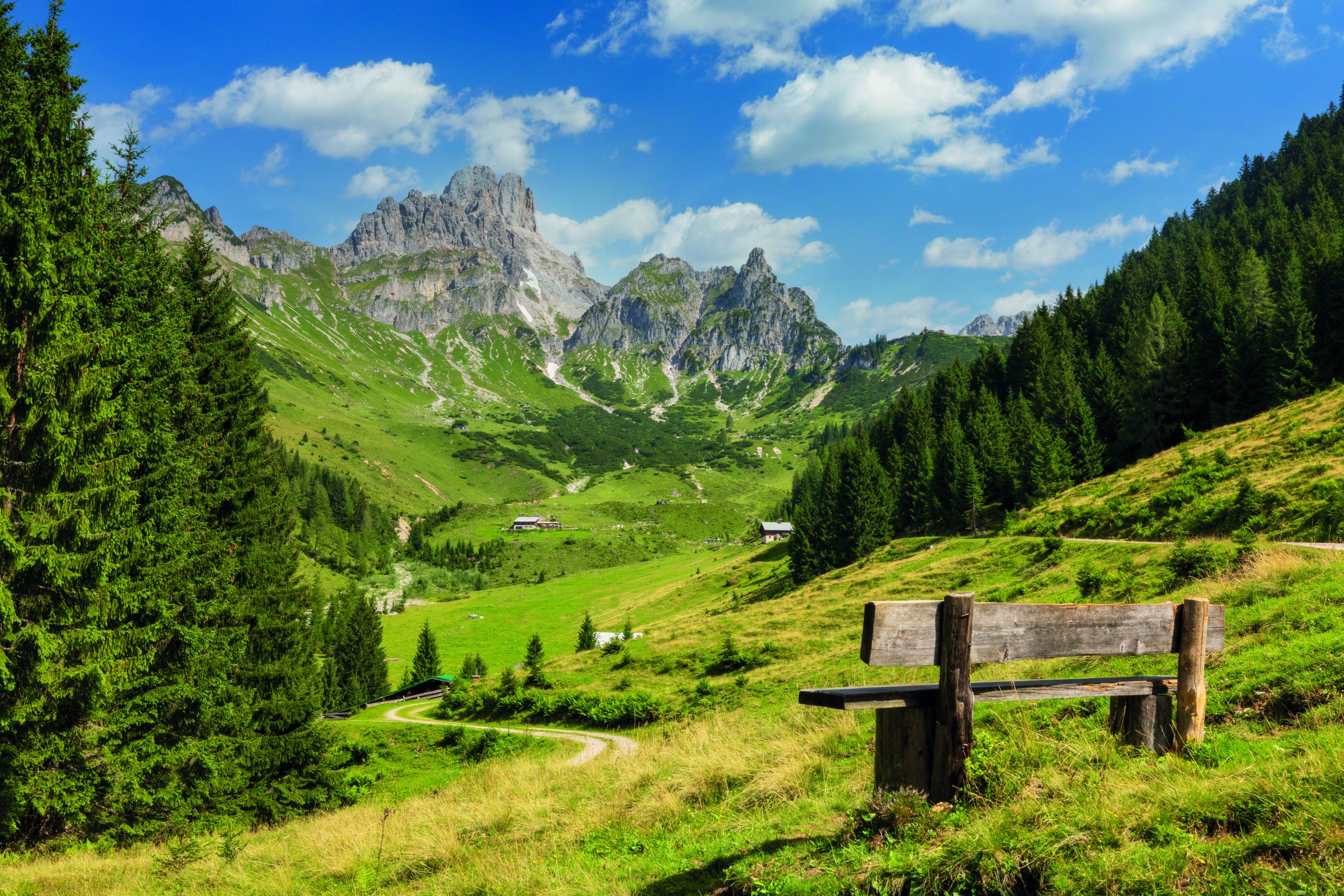 Bank mit Blick auf die große Bischofsmütze, Dachsteingebirge, Almen